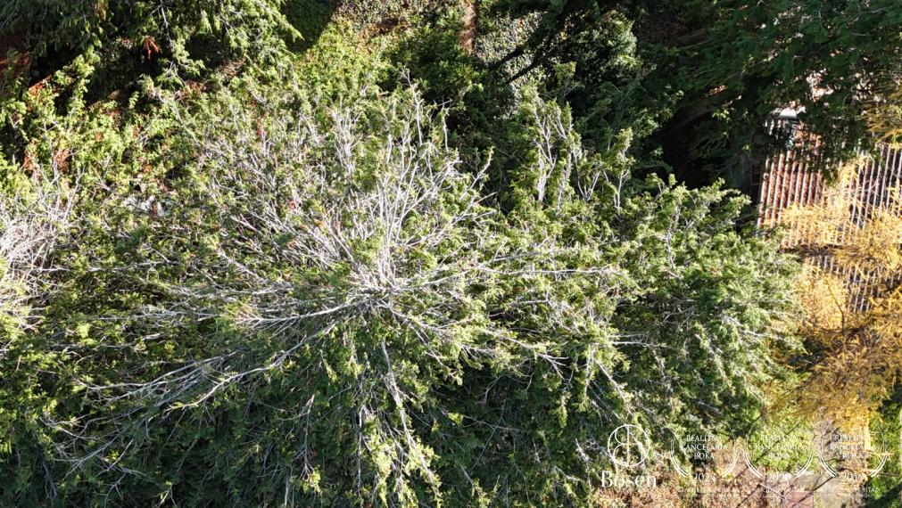 BOSEN | Rodinný dom s investičným potenciálom, Malacky, pozemok 2495 m2 !