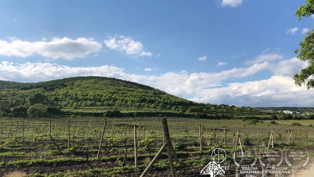 BOSEN | Zariadený 2 izb.byt s TV/NET, Račianska