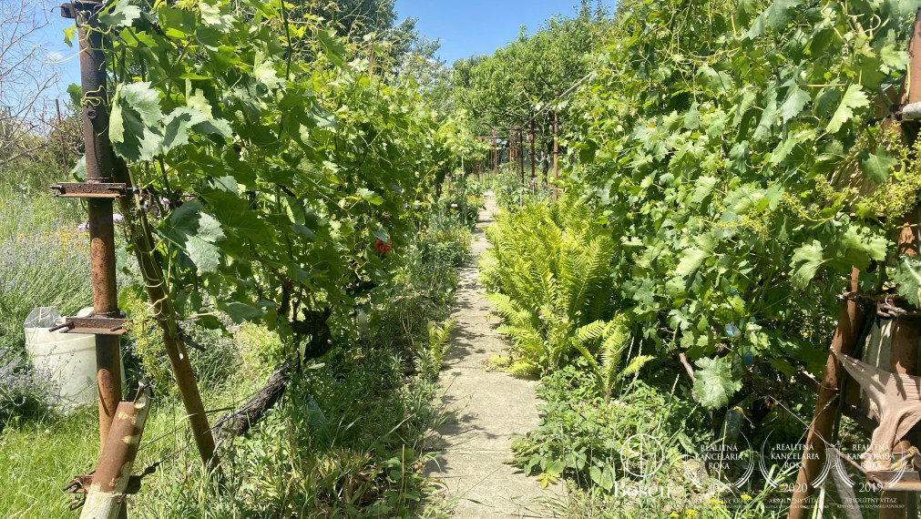 BOSEN | Udržiavaná ovocná záhrada, Ružinov, 498 m2