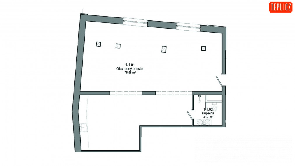 TEPLICZ_01-01_Obchodný priestor