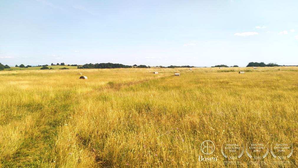 BOSEN | ZNÍŽENÁ CENA - Pozemok vhodný na agroturistiku a investíciu, 26432 m2