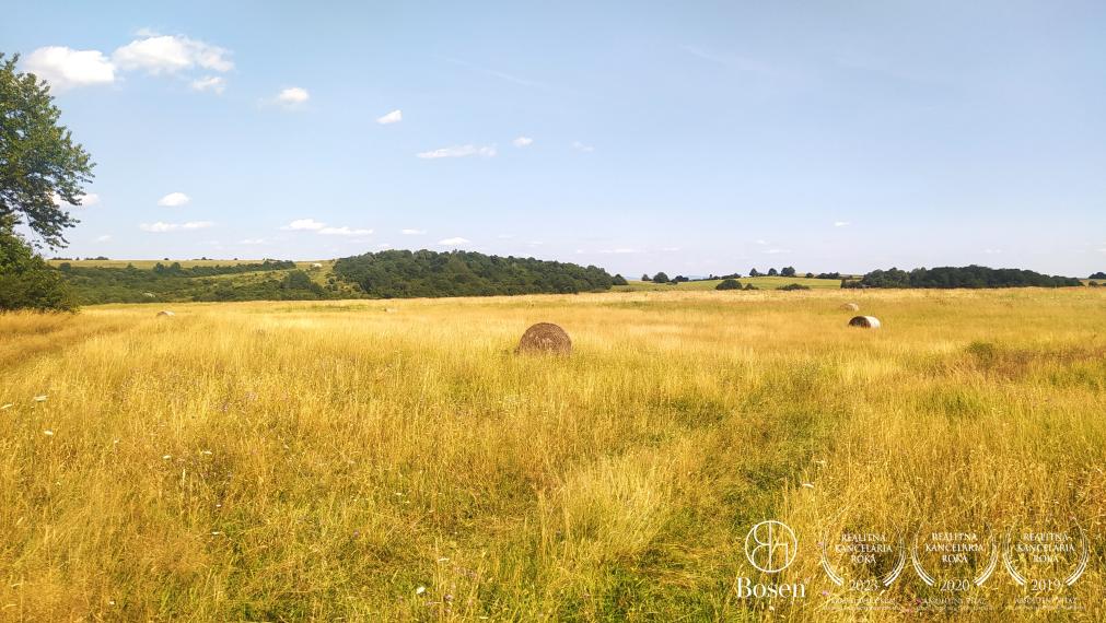 BOSEN | ZNÍŽENÁ CENA - Pozemok vhodný na agroturistiku a investíciu, 26432 m2