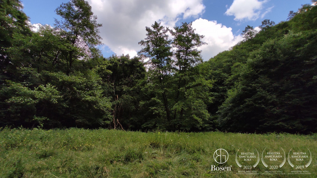 BOSEN | Rekreačné pozemky na predaj, Hrušov – Čelovce