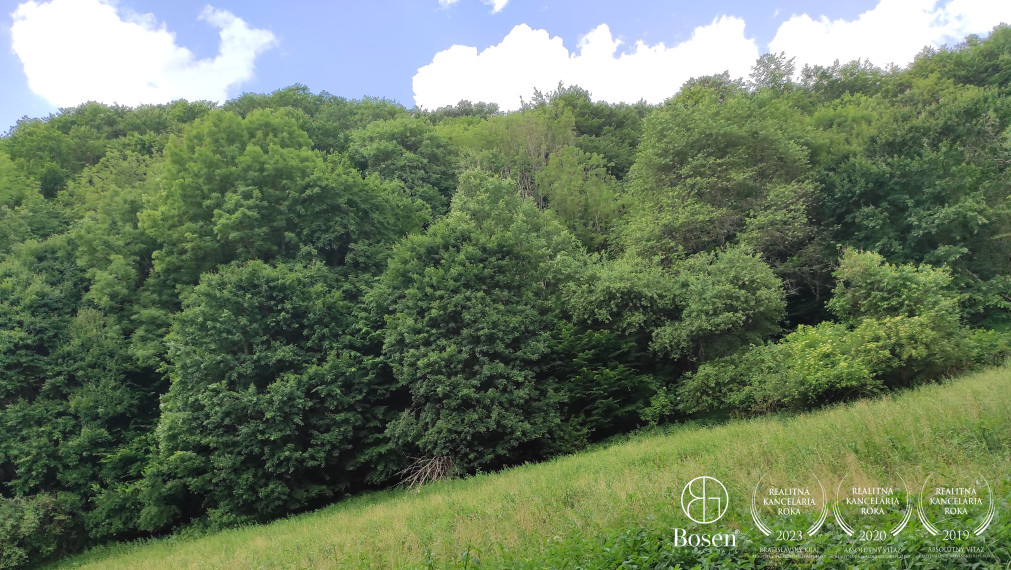 BOSEN | Rekreačné pozemky na predaj, Hrušov – Čelovce