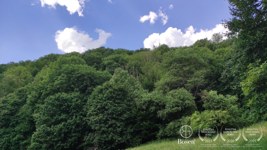 BOSEN | Rekreačné pozemky na predaj, Hrušov – Čelovce