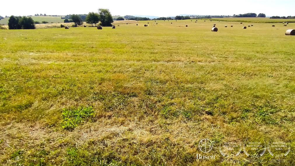 BOSEN | Pozemok pre agroturistiku, rekreačné aktivity,10 534 m2