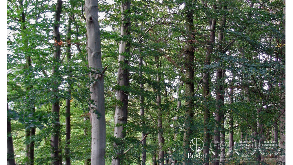 BOSEN | Na predaj rozsiahly lesný pozemok pri obci Mníšek nad Hnilcom