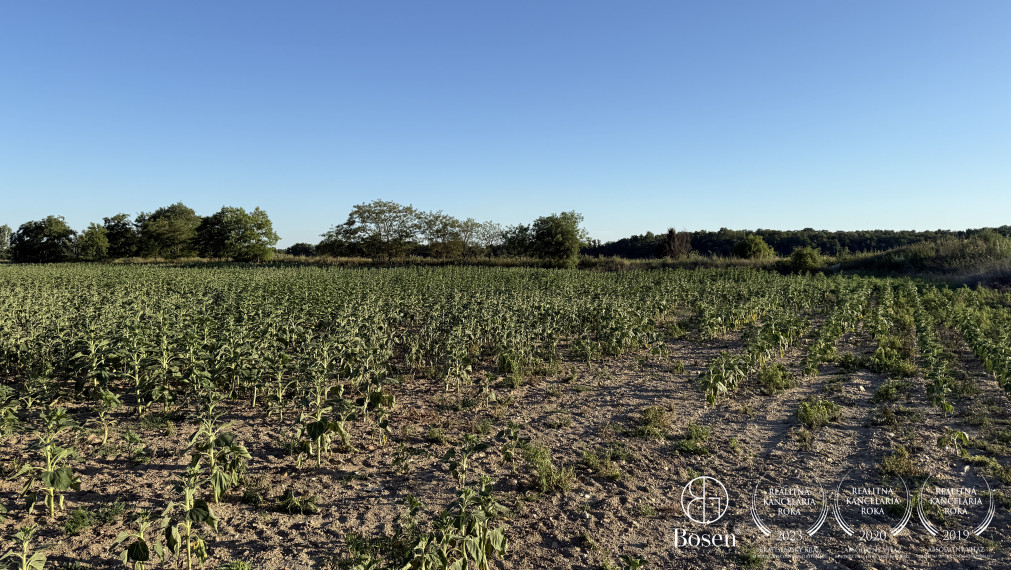 BOSEN | Stavebný pozemok s investičným potenciálom, Chorvátsky Grob