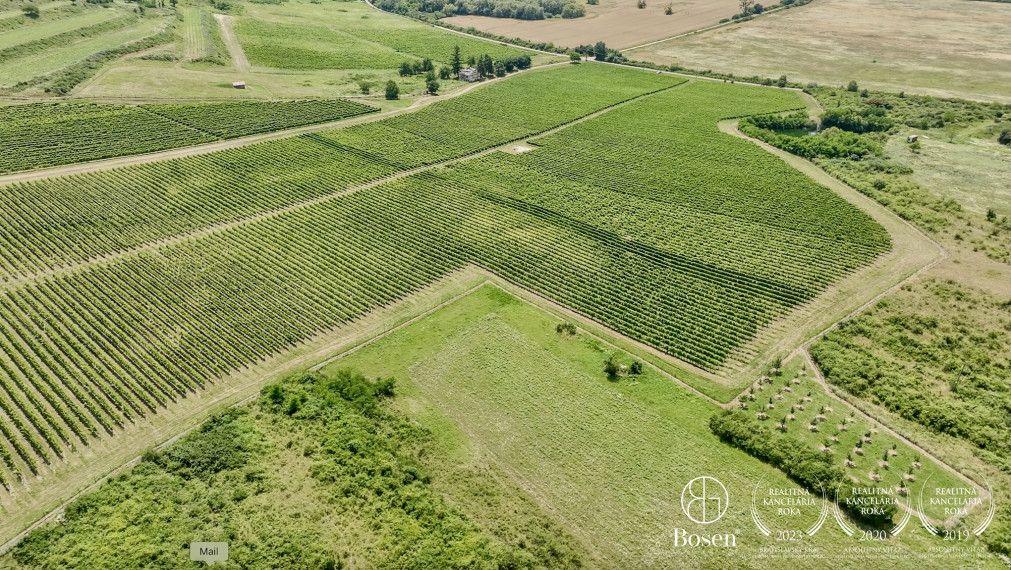 BOSEN | Vinica v známej vinohradníckej oblasti Tokaj, 191 463m2