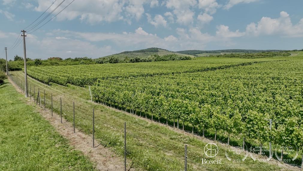 BOSEN | Vinica v známej vinohradníckej oblasti Tokaj, 191 463m2
