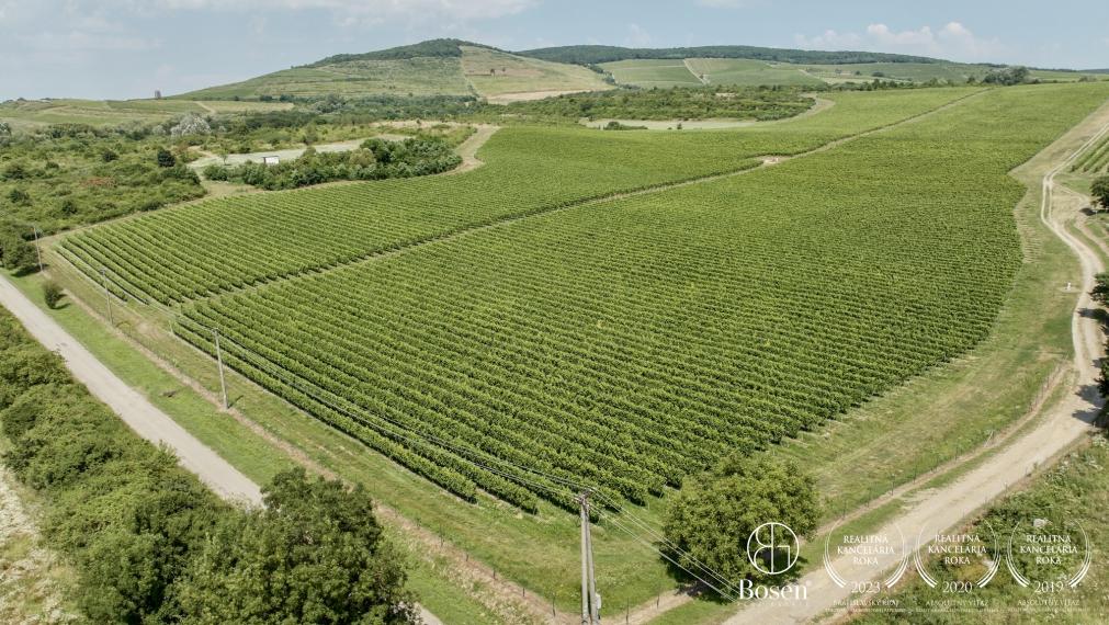 BOSEN | Vinica v známej vinohradníckej oblasti Tokaj, 191 463m2