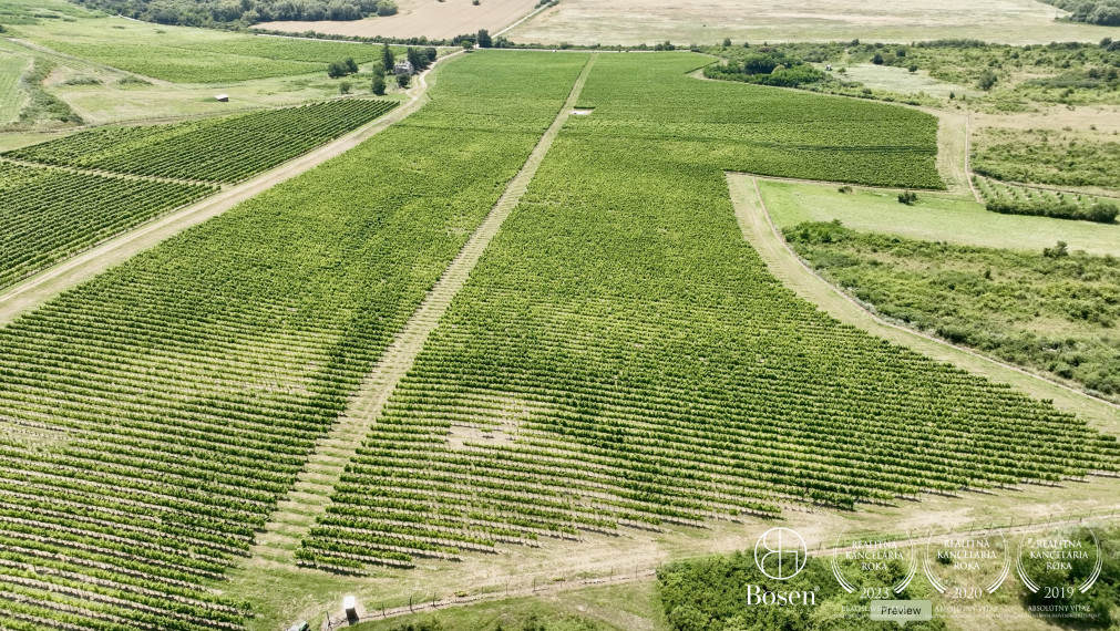 BOSEN | Vinica v známej vinohradníckej oblasti Tokaj, 191 463m2