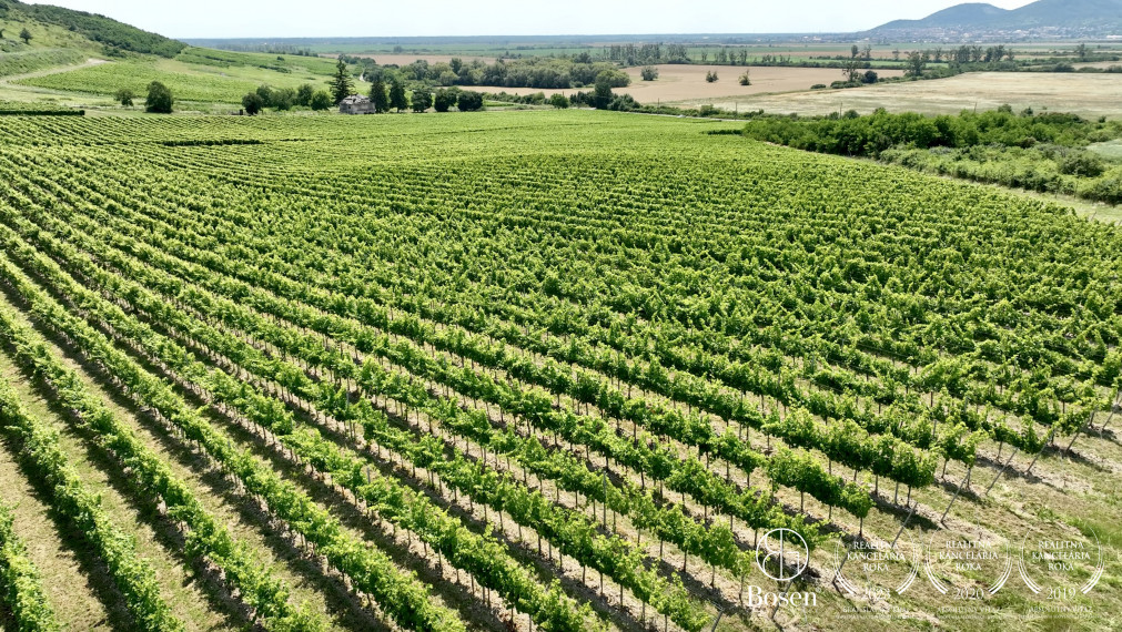 BOSEN | Vinica v známej vinohradníckej oblasti Tokaj, 191 463m2