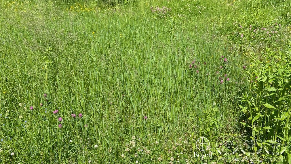 BOSEN | Záhrada v lese len kúsok od mesta, Bratislava - Dúbravka, 823 m2