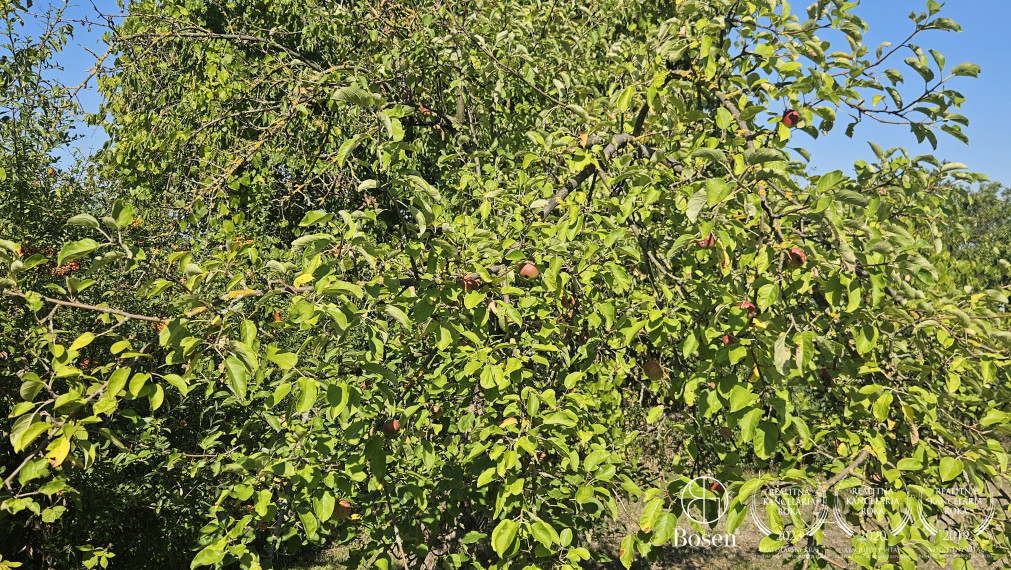 BOSEN | Záhradná chata s 10 árovým pozemkom – Marcelová, Cinkotské vinohrady