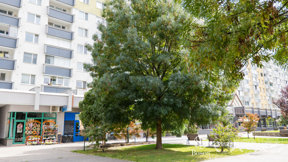 Bosen I Rezervované !!! obchodný priestor po rekonštrukcii