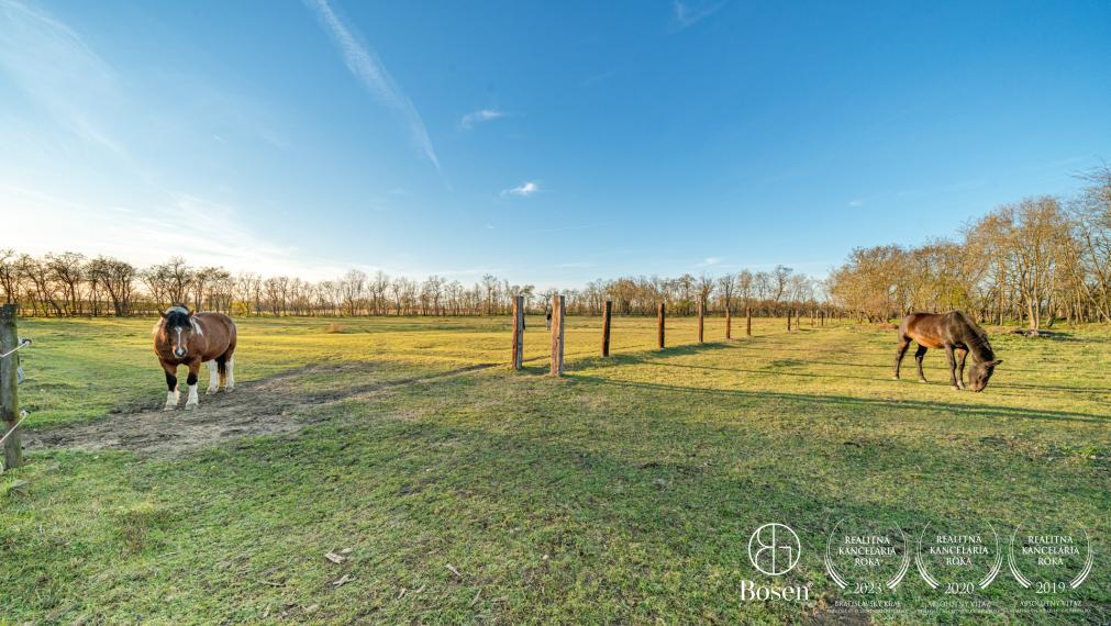 BOSEN | Unique country estate, family house, stable, 30,000 m² land, only 27 km from Bratislava, Dúbrava