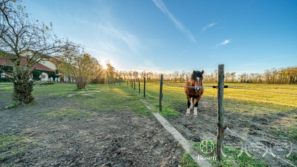 BOSEN | Unique country estate, family house, stable, 30,000 m² land, only 27 km from Bratislava, Dúbrava