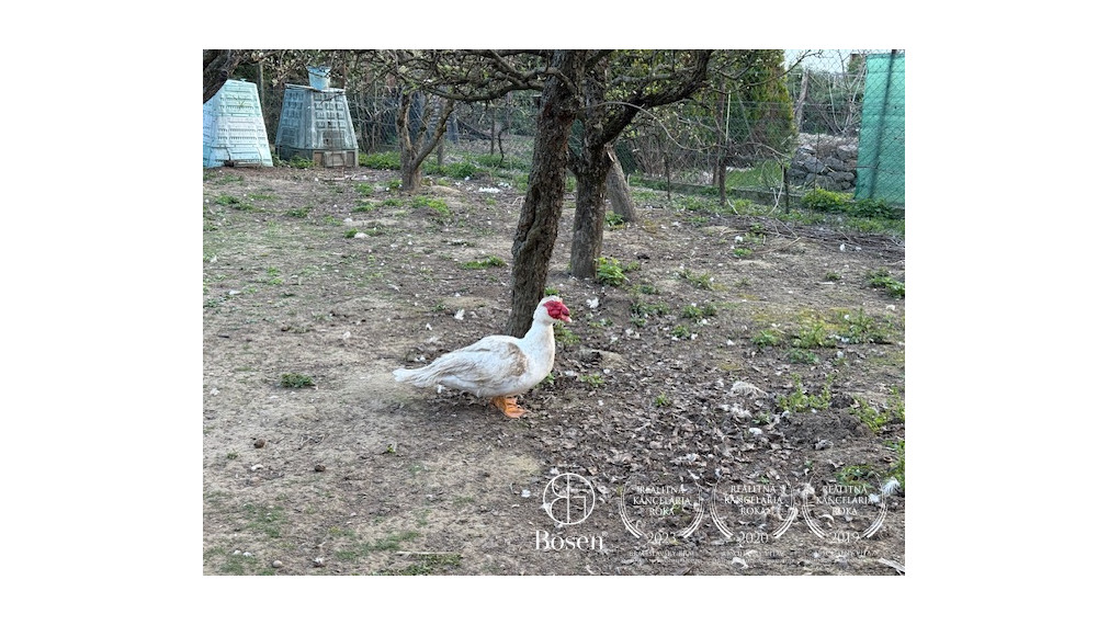 Predaj stavebného pozemku 563 m2 v Ivanke pri Dunaji