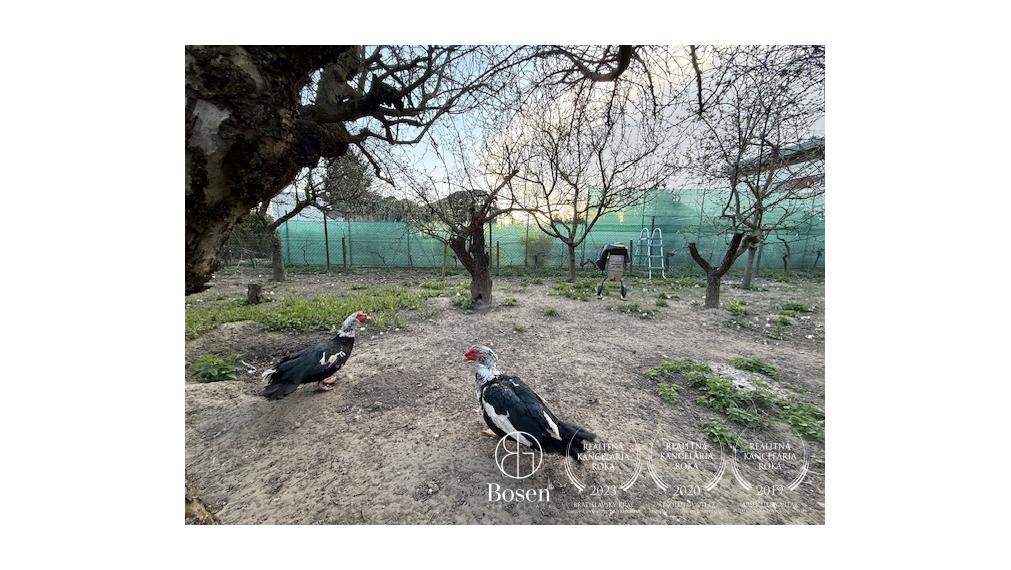 Predaj stavebného pozemku 563 m2 v Ivanke pri Dunaji