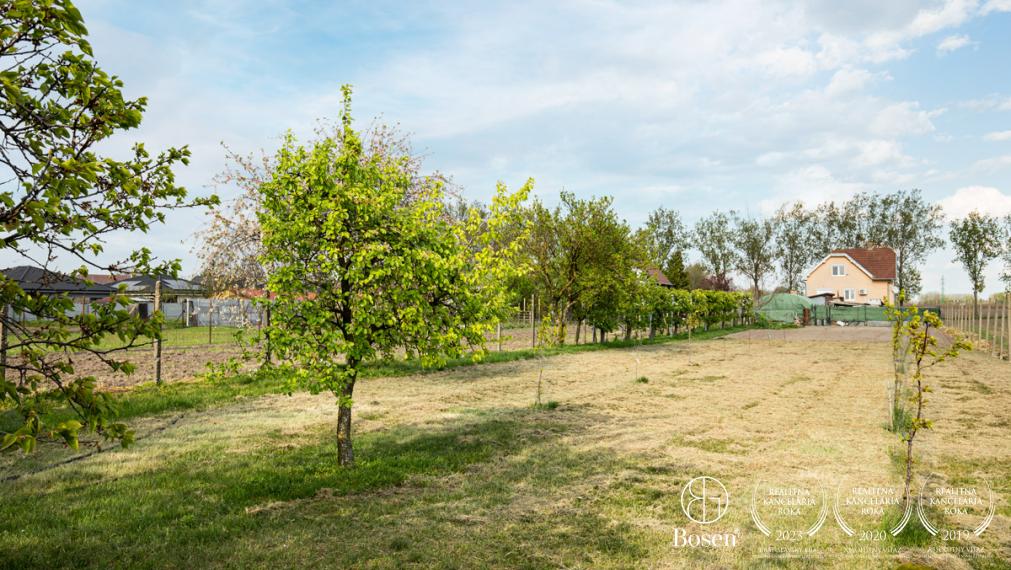 BOSEN | Priestranný rodinný dom s vinnou pivnicou a veľkým pozemkom – Padáň