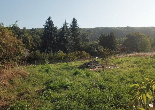 BOSEN | Stavebný pozemok s krásnym okolím, Marianka, 2593 m2