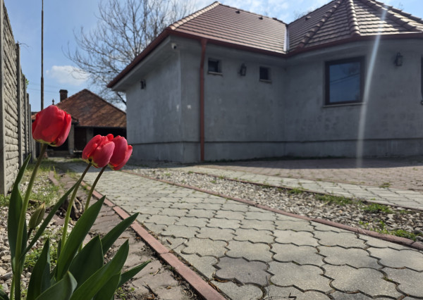 BOSEN | Rodinný dom so súkromným jazerom a bazénom v Trstenej na Ostrove