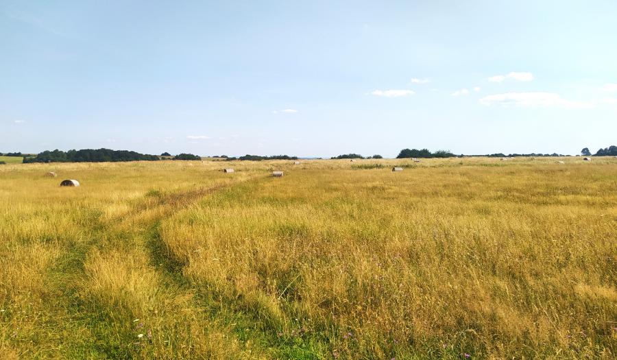 BOSEN | ZNÍŽENÁ CENA - Pozemok vhodný na agroturistiku a investíciu, 26432 m2