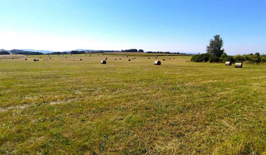 BOSEN |  ZNÍŽENÁ CENA - Pozemok vhodný na agroturistiku a investíciu, 10 534 m2
