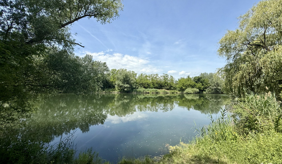 BOSEN | Pozemok na okraji prírody – Most pri Bratislave, 500 m²