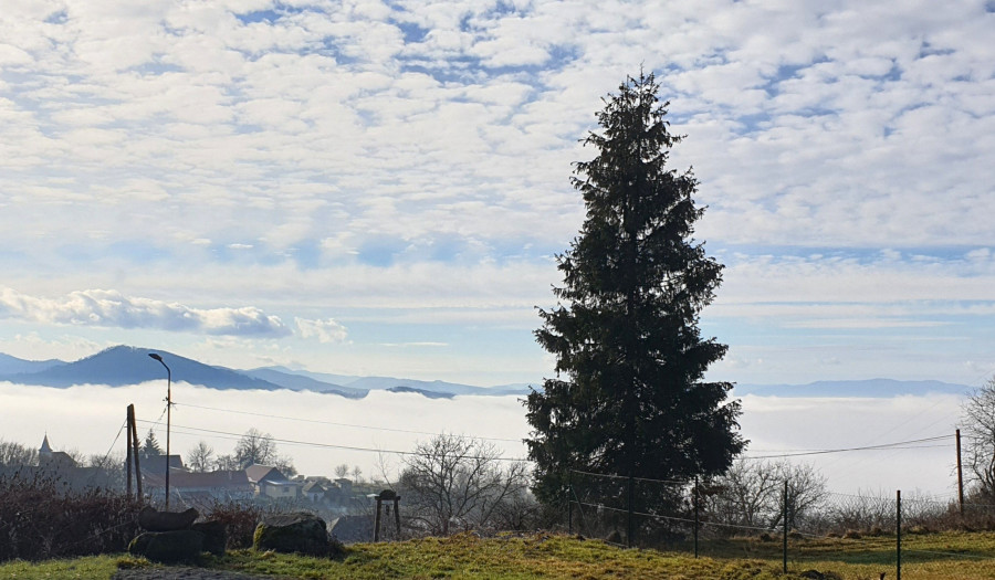 BOSEN | Pozemok so stavebným povolením pre rodinný dom, 728 m2.