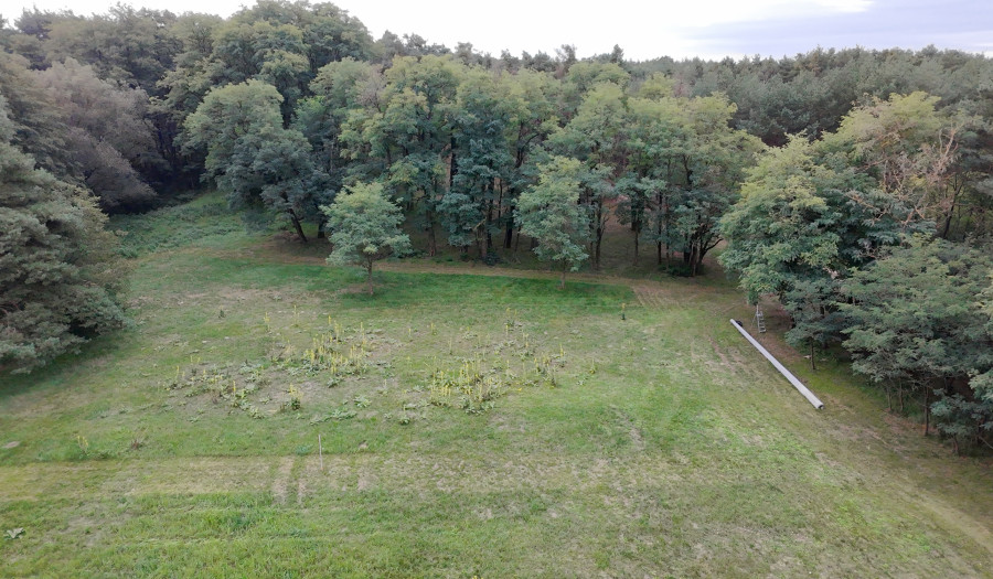 BOSEN| Pozemok 4003m2 v lese, pri potoku, Šajdíkove Humence