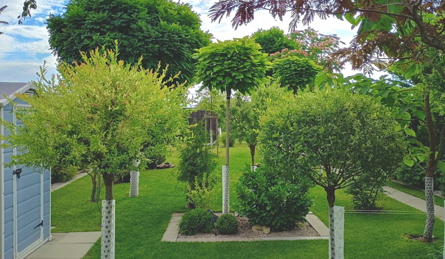 BOSEN | 3-izbový byt v samostatnom rodinnom dome s veľkou záhradou a parkovaním