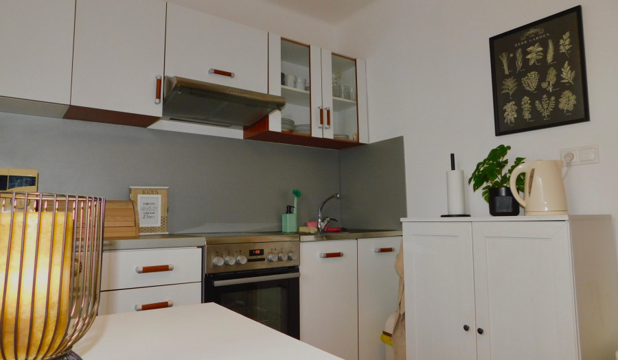 BOSEN | príjemný 1-izbový byt na prenájom, Pluhová ulica