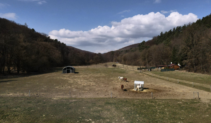 BOSEN | Pozemok v krásnom prostredí, 1564 m2 - Ľuborča