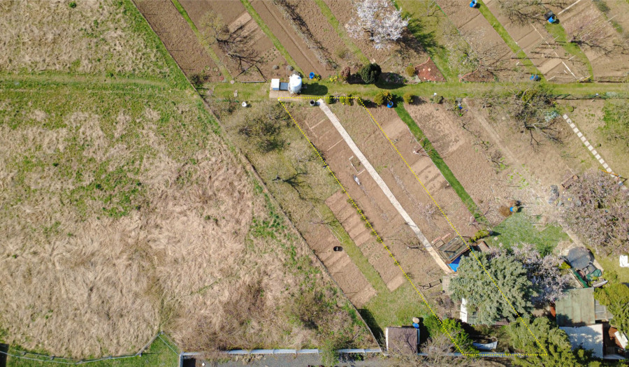 BOSEN | záhrada Kamenný mlyn, Trnava, 292 m2