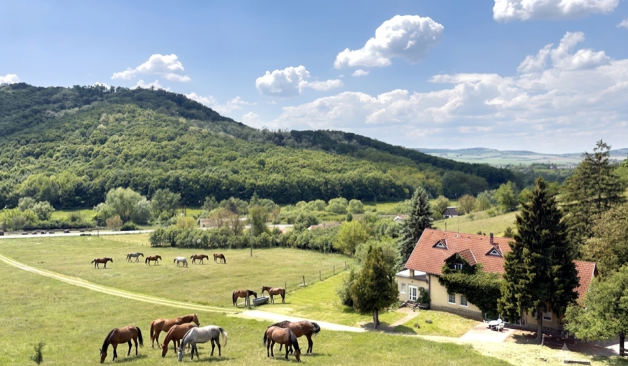BOSEN | Rodinný dom, Ranč s pozemkom až 129 000m2, Fiľakovo.